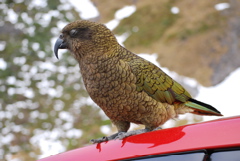 DSC_0127.JPG