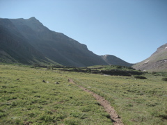 STA_1446
