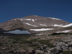 P7190014.JPG