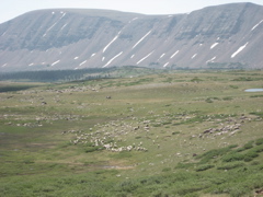 IMG_1468