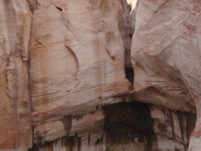 PA280163.JPG