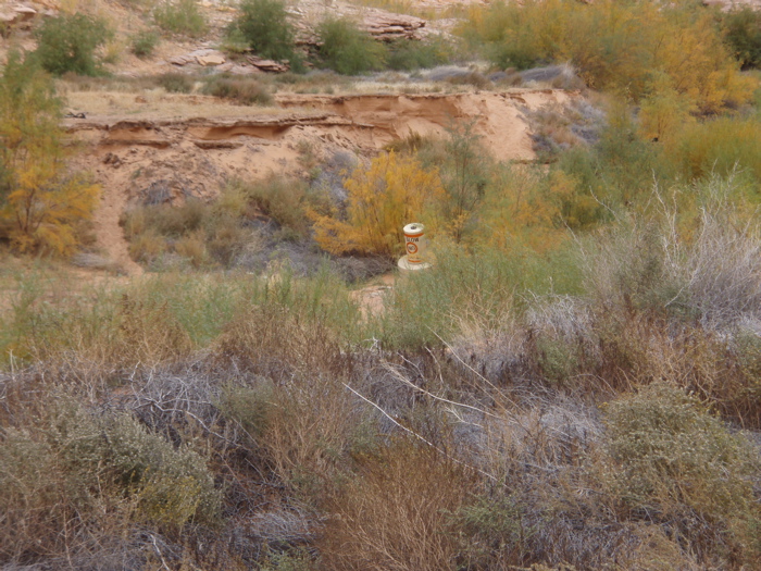 PA270083.JPG