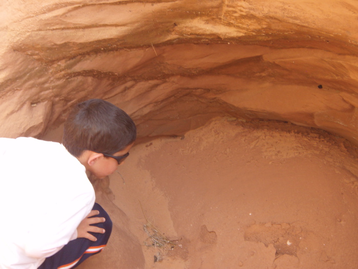 PA270113.JPG