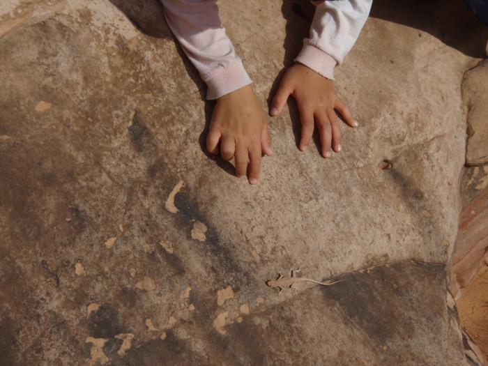PA270114.JPG