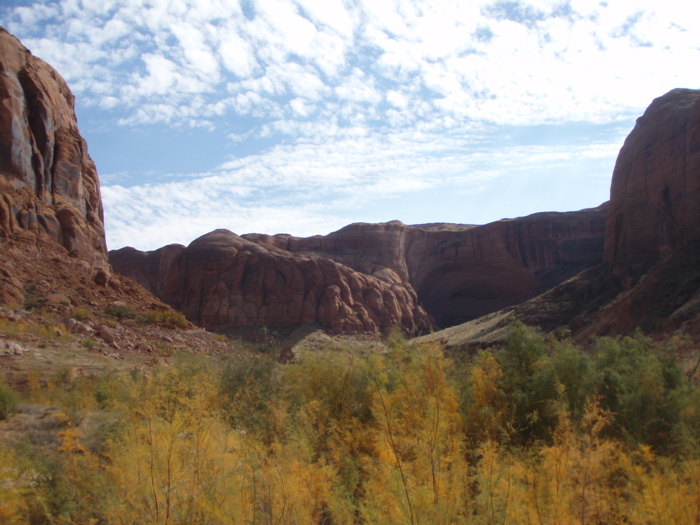 PA280139.JPG