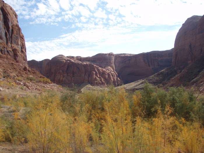 PA280140.JPG