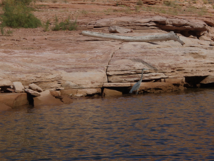 PA280145.JPG