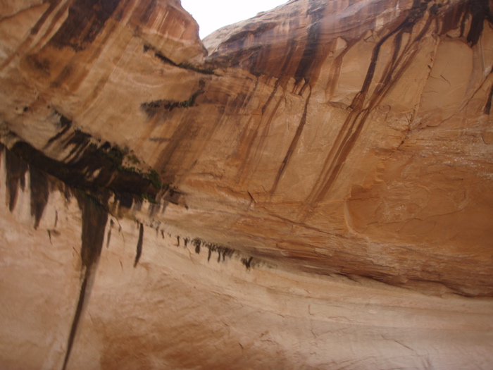 PA280158.JPG