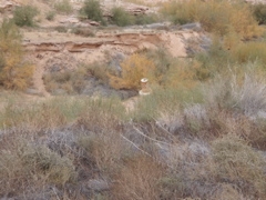 PA270083.JPG