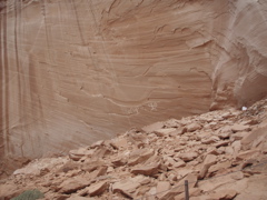 PA270084.JPG