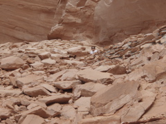 PA270085.JPG