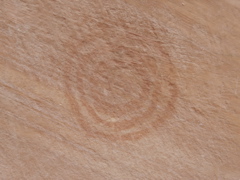 PA270087.JPG