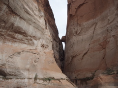 PA270103.JPG