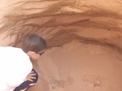 PA270113.JPG