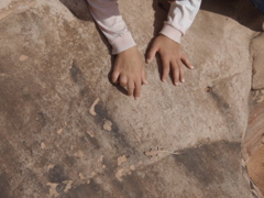 PA270114.JPG