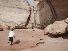 PA270115.JPG