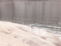 PA270118.JPG