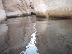 PA280126.JPG