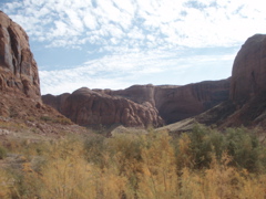 PA280139.JPG