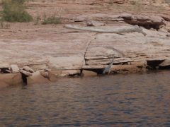 PA280145.JPG