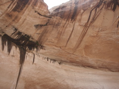 PA280158.JPG