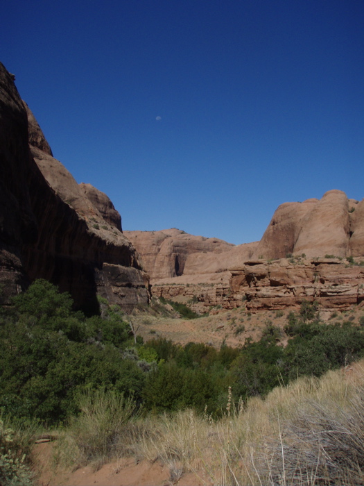 P9010015.JPG