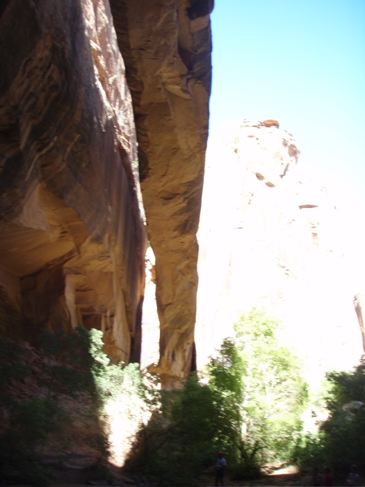 P9010023.JPG