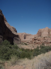 P9010015.JPG
