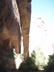 P9010023.JPG
