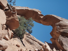 P9010031.JPG