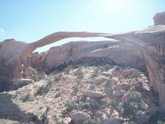 P9010032.JPG