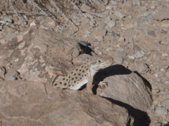 P9010033.JPG