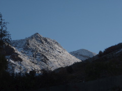 P9300034.JPG