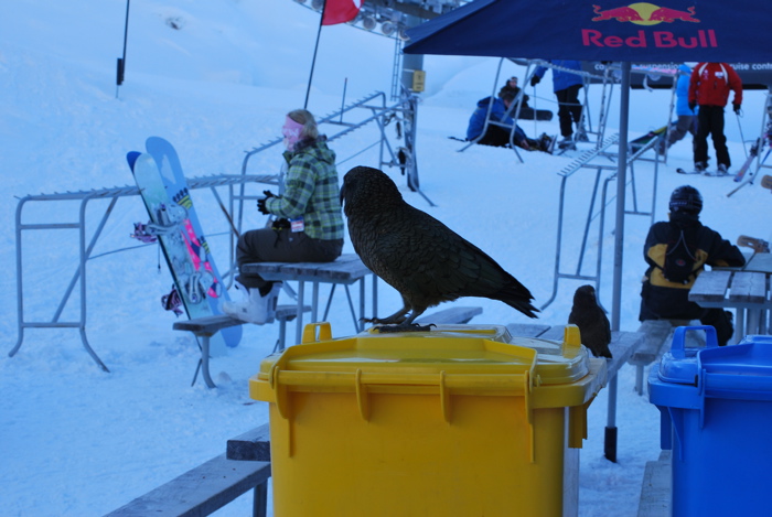 DSC_0280.JPG