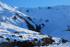 DSC_0292.JPG