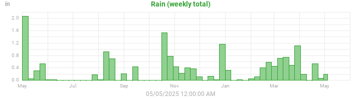 rain